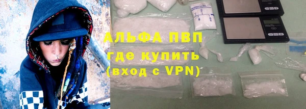 прущие крисы Аркадак